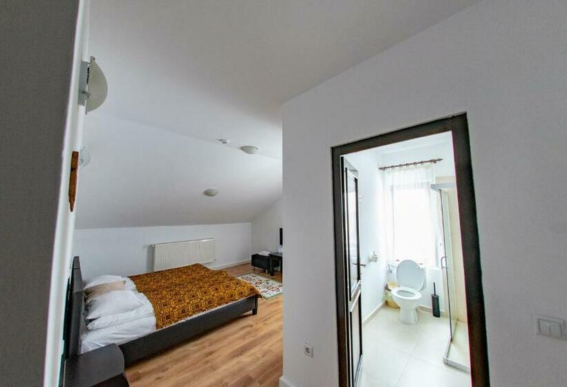 חדר סטנדרט עם מרפסת, Pensiunea Popasu