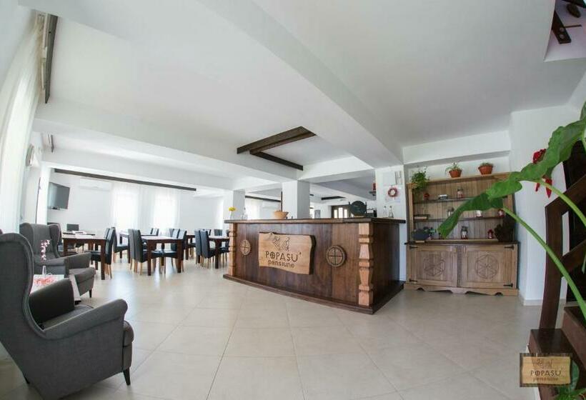 חדר סטנדרט עם מרפסת, Pensiunea Popasu