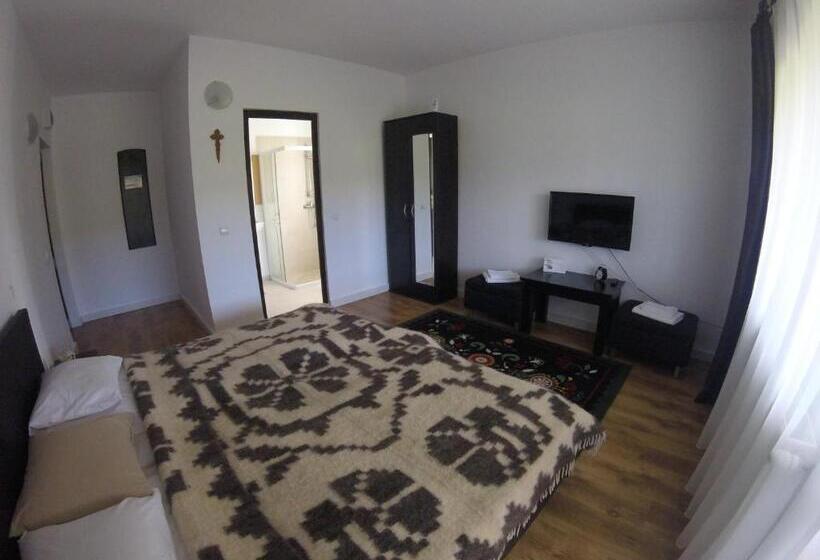 غرفة قياسية مزوَّدة بتراس, Pensiunea Popasu