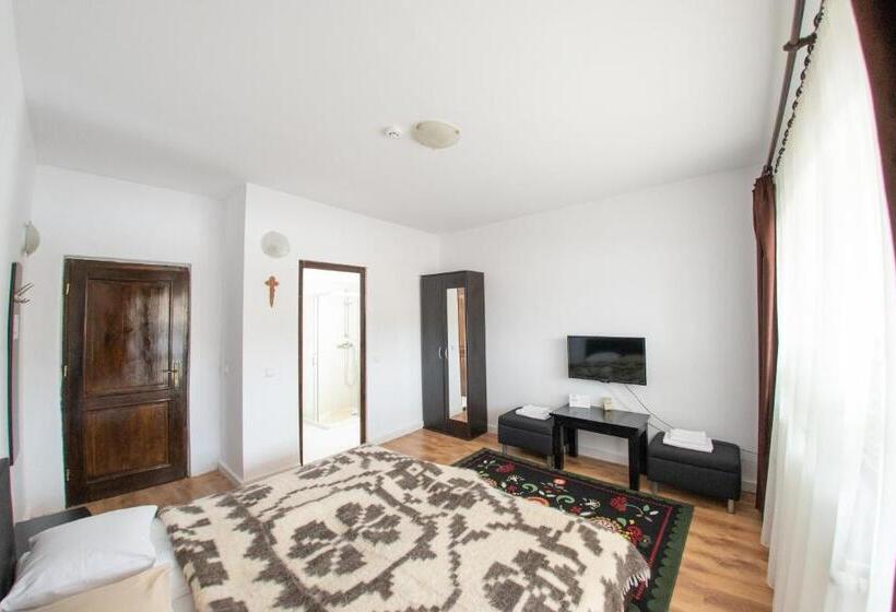 غرفة قياسية مزوَّدة بتراس, Pensiunea Popasu