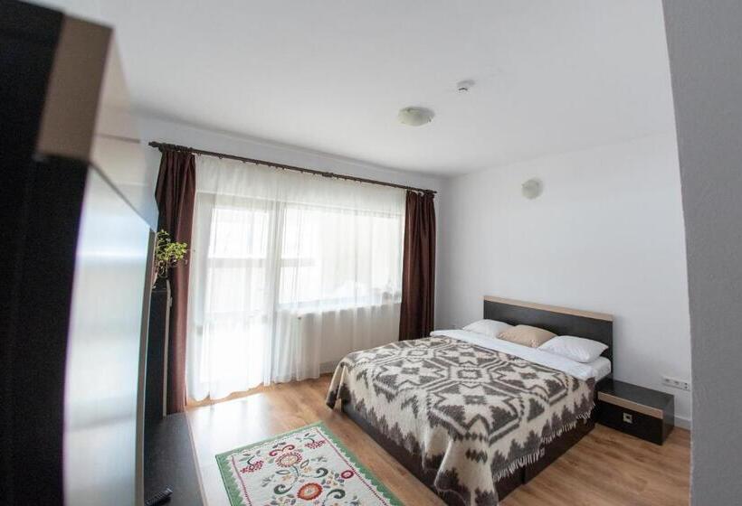 غرفة قياسية مزوَّدة بتراس, Pensiunea Popasu