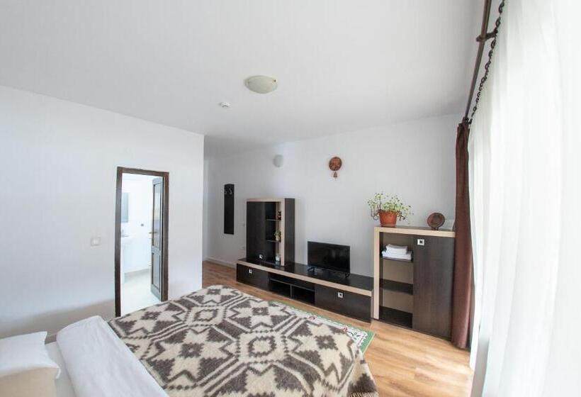 标准间带露台, Pensiunea Popasu