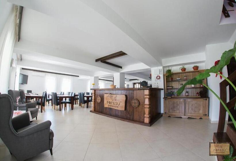 标准间带露台, Pensiunea Popasu