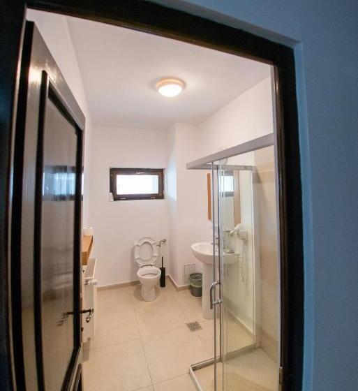 带露台的标准房间, Pensiunea Popasu