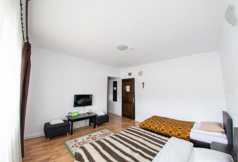 带露台的标准房间, Pensiunea Popasu