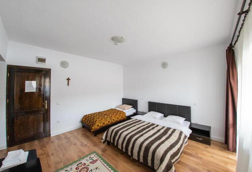 带露台的标准房间, Pensiunea Popasu