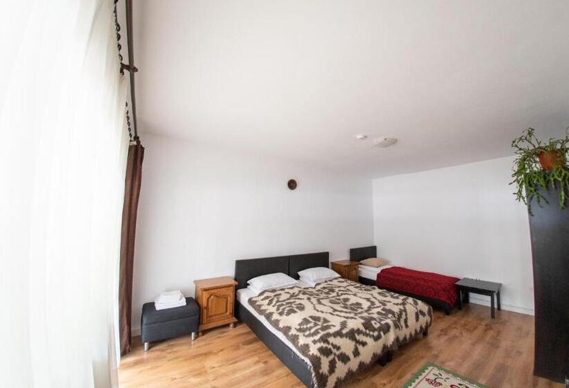 חדר סטנדרט לשלושה עם טרסה, Pensiunea Popasu