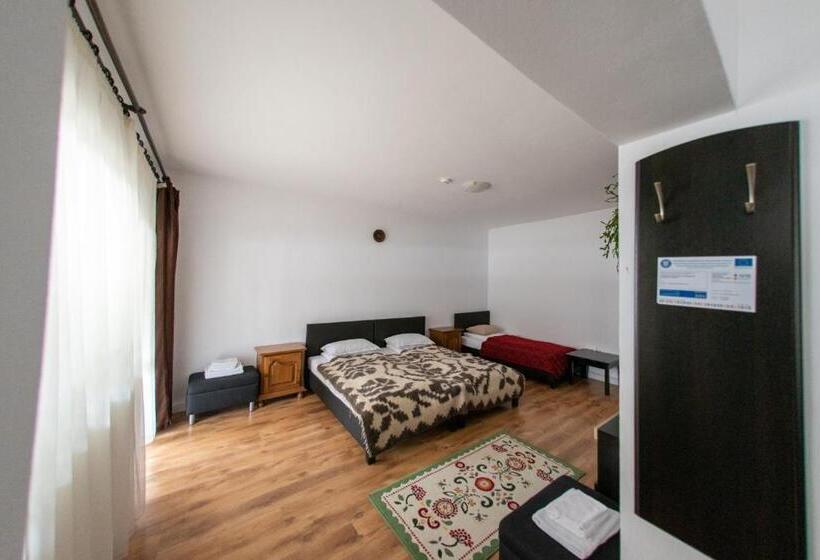 חדר סטנדרט לשלושה עם טרסה, Pensiunea Popasu