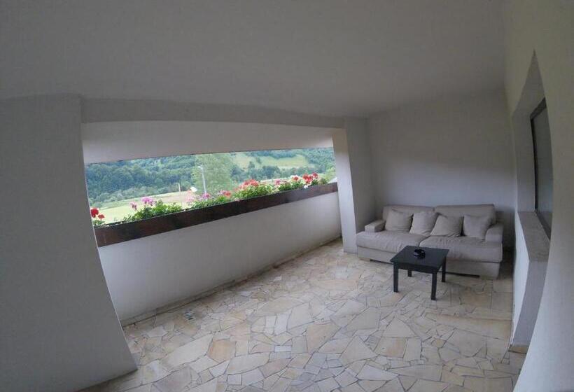 带露台的标准房间, Pensiunea Popasu