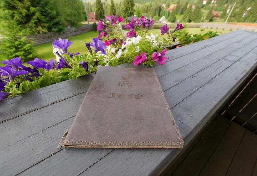 اتاق استاندارد با بالکن, Pensiunea Vis Alpin Belis