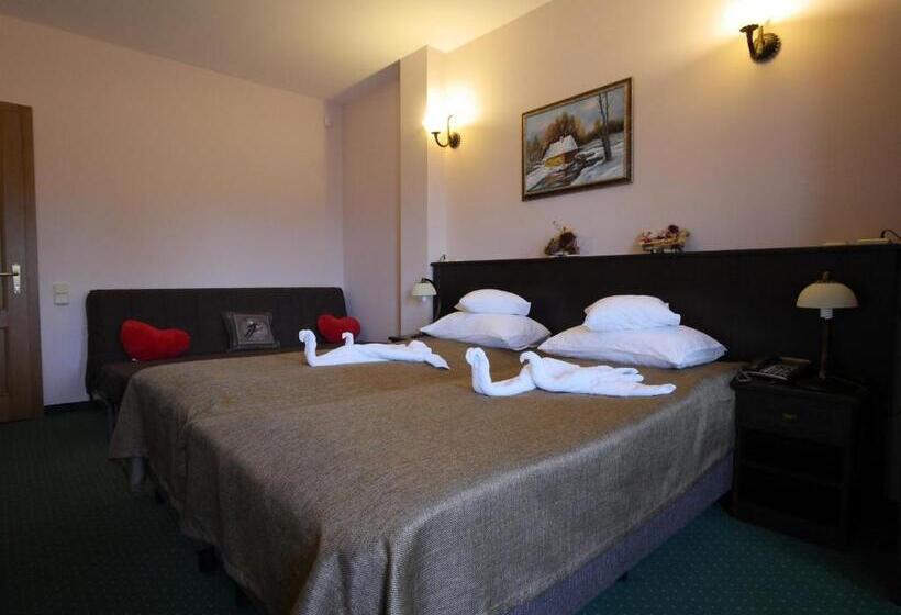 اتاق استاندارد با بالکن, Pensiunea Vis Alpin Belis