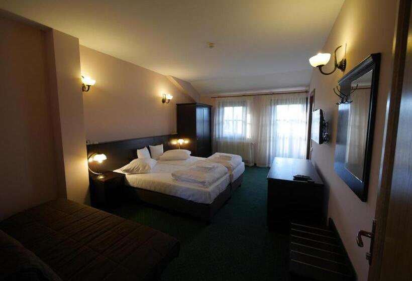 اتاق استاندارد با بالکن, Pensiunea Vis Alpin Belis