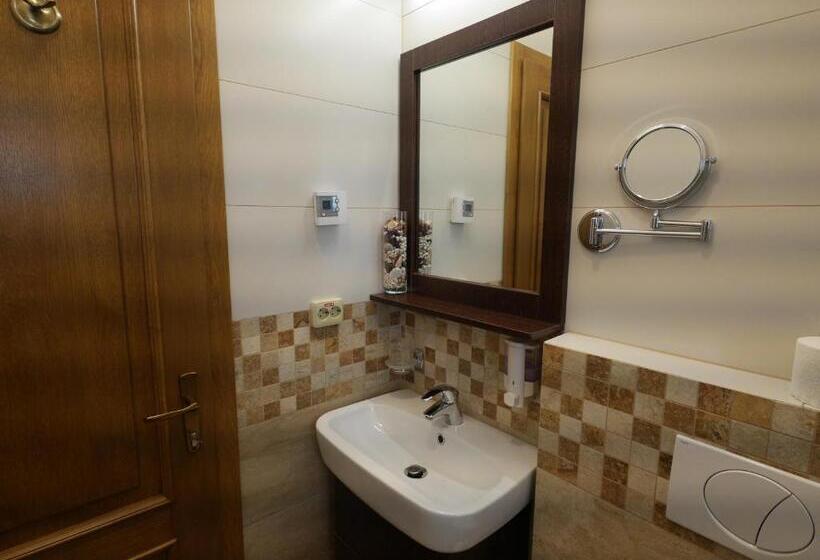 اتاق استاندارد با چشمانداز, Pensiunea Vis Alpin Belis