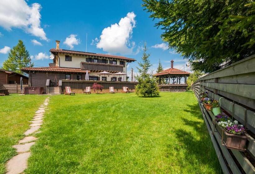 اتاق استاندارد با چشمانداز, Pensiunea Vis Alpin Belis