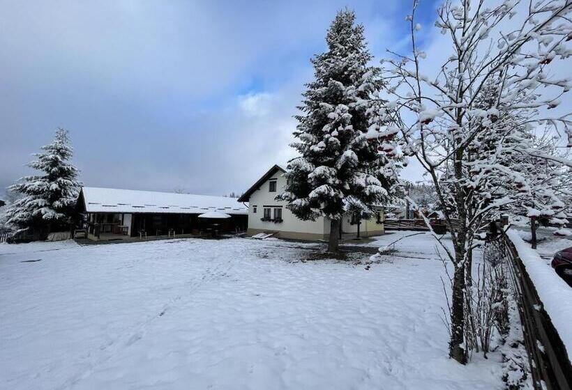 اتاق استاندارد چهار تخته, Pensiunea Vis Alpin Belis