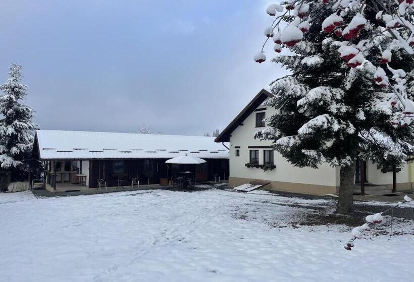 اتاق استاندارد چهار تخته, Pensiunea Vis Alpin Belis