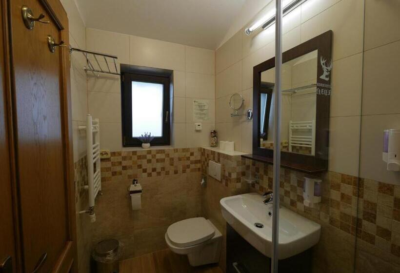 اتاق استاندارد با بالکن, Pensiunea Vis Alpin Belis