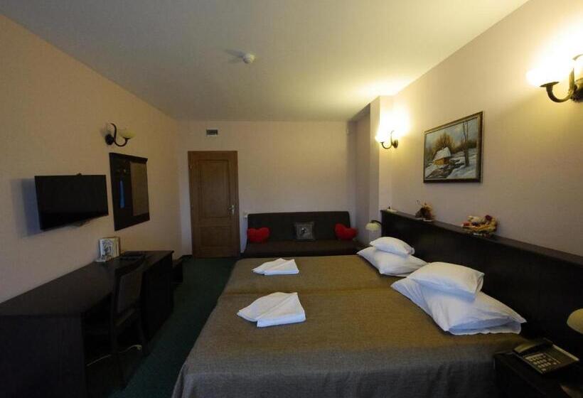 اتاق استاندارد با بالکن, Pensiunea Vis Alpin Belis