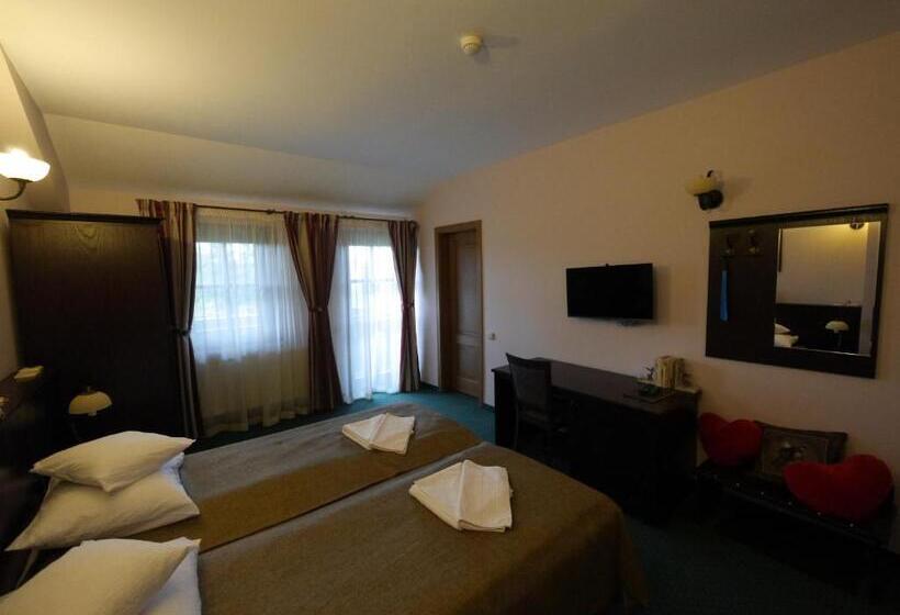 اتاق استاندارد با بالکن, Pensiunea Vis Alpin Belis