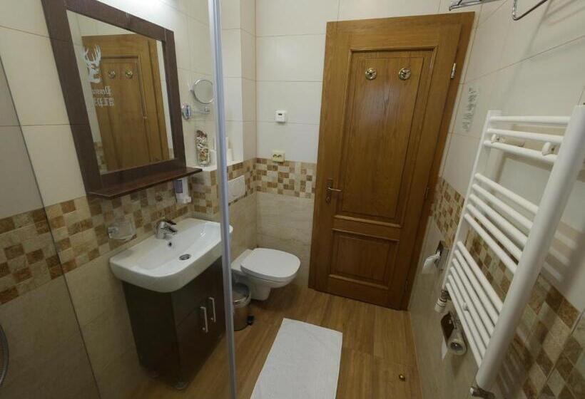 اتاق استاندارد با بالکن, Pensiunea Vis Alpin Belis