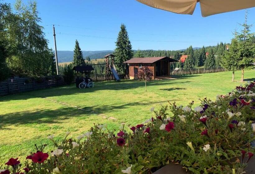 اتاق یک تخته با چشمانداز باغ, Pensiunea Vis Alpin Belis