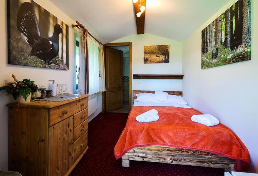 اتاق یک تخته با چشمانداز باغ, Pensiunea Vis Alpin Belis