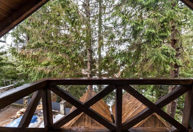 اتاق استاندارد با بالکن, Alpiyskiy