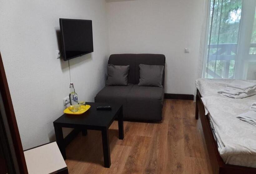 اتاق استاندارد سه تخته با بالکن, Alpiyskiy