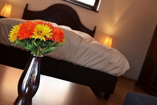 סוויטה עם מרפסת, Villa Vinica