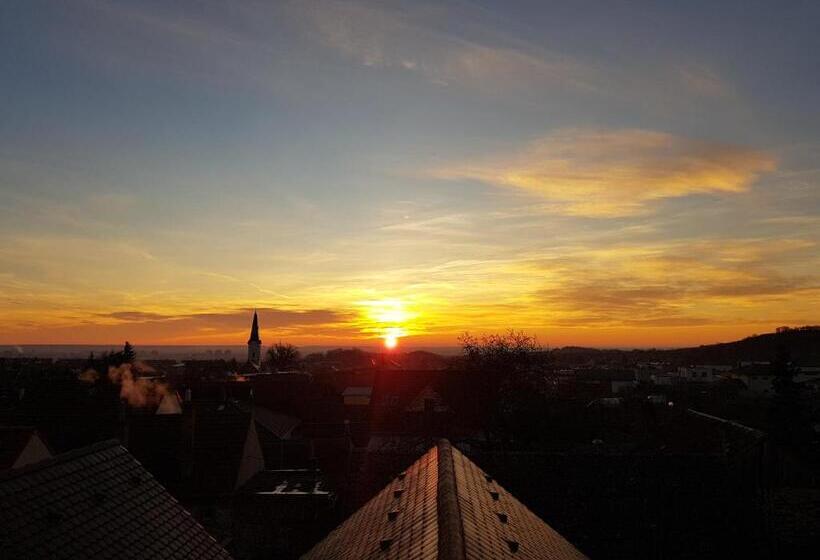 סוויטה עם מרפסת, Villa Vinica