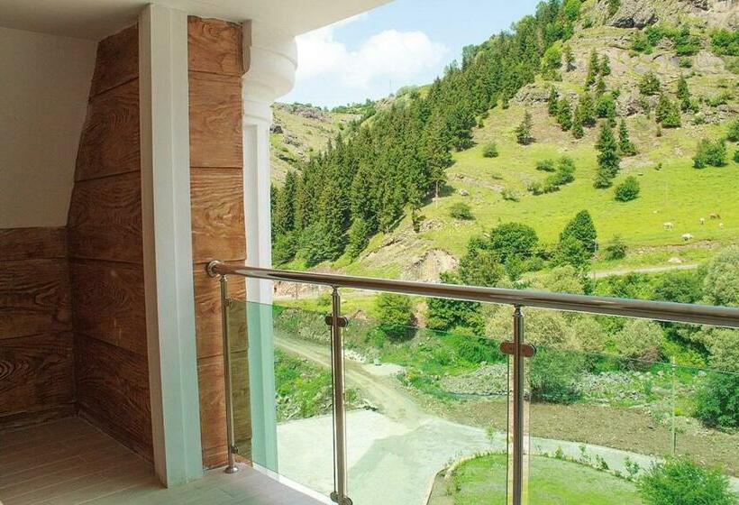 Номер Deluxe, Green Valley Savsat