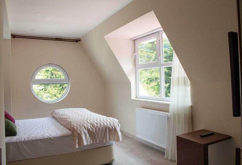 Номер Deluxe, Green Valley Savsat