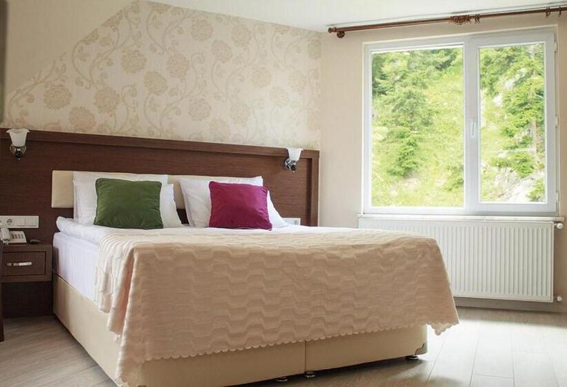 Трехместный Номер Deluxe, Green Valley Savsat