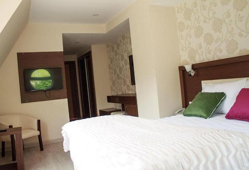 Номер Deluxe с Гидромассажем, Green Valley Savsat