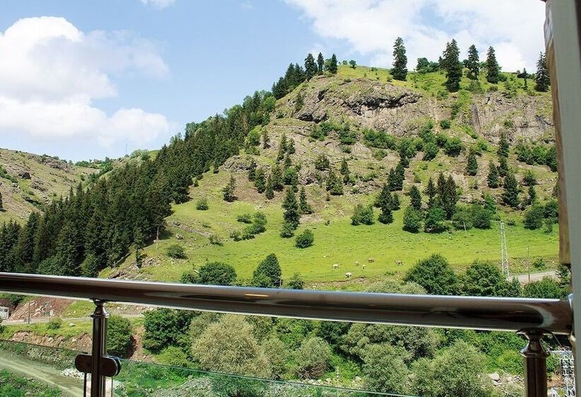 Трехместный Номер Deluxe, Green Valley Savsat