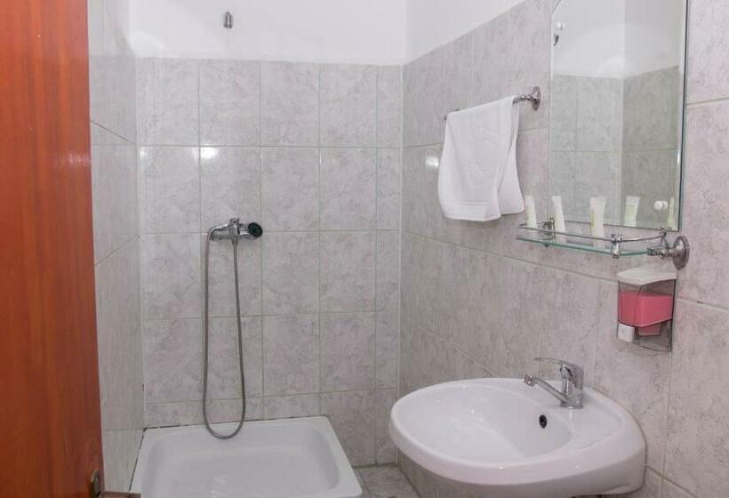 Cameră Standard, Magurele