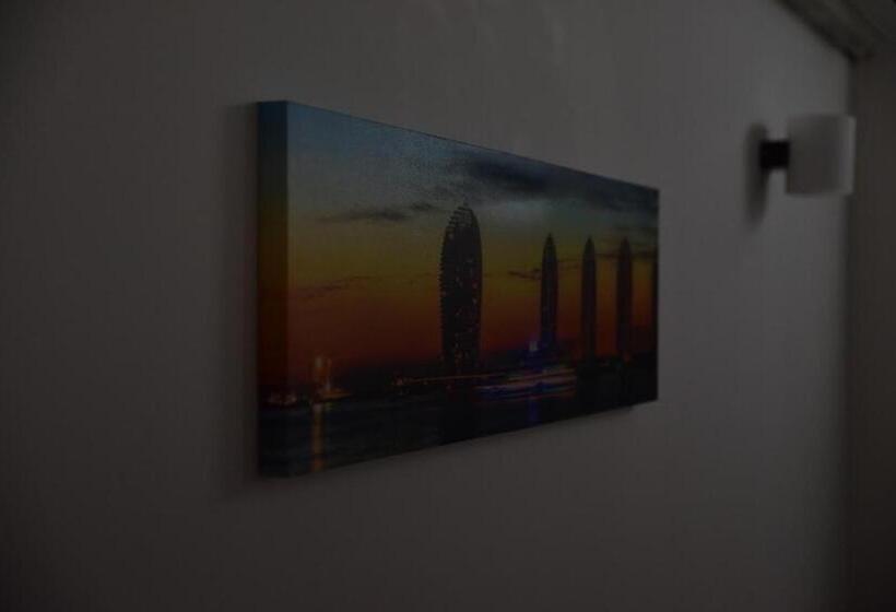 Cameră Standard, Magurele