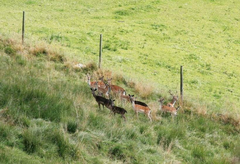 Семейный Номер, Forellenwirt Bacher