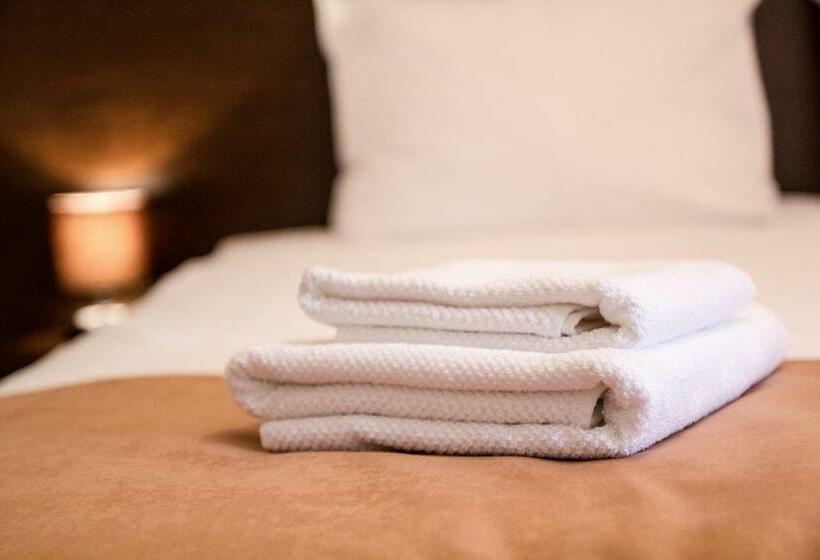 غرفة قياسية, Pensiunea Casa Din Vii