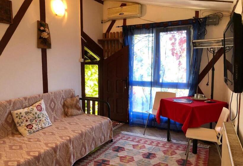 带1个卧室的公寓, Pensiunea Deceneu