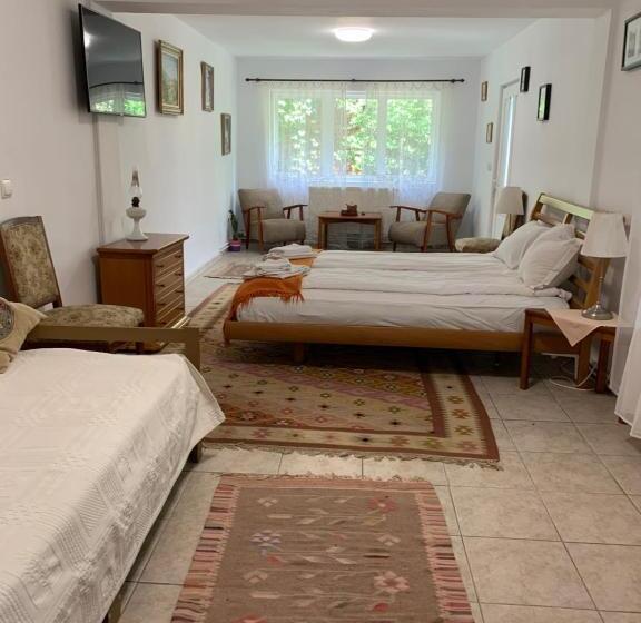 디럭스 룸, Pensiunea Deceneu