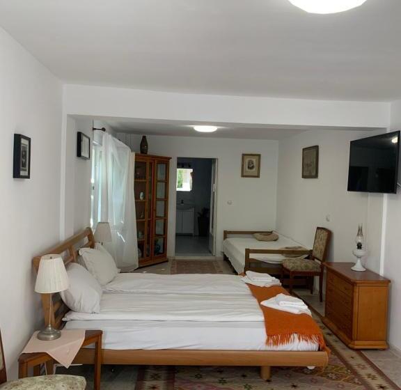 디럭스 룸, Pensiunea Deceneu