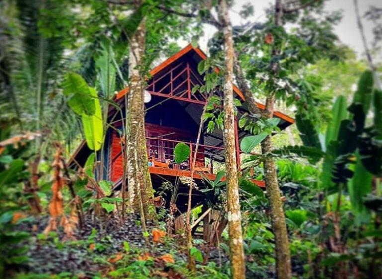 バルコニー付きデラックスルーム, Surf Break At Paunch