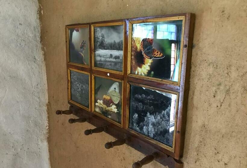 스탠다드 룸, Kamp Kamouflage Kanha