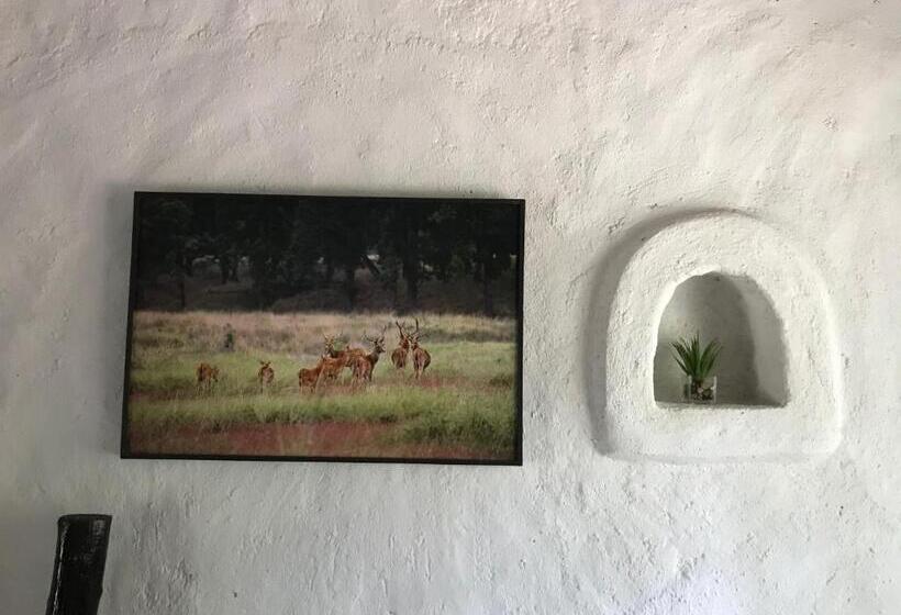 Номер Стандарт, Kamp Kamouflage Kanha