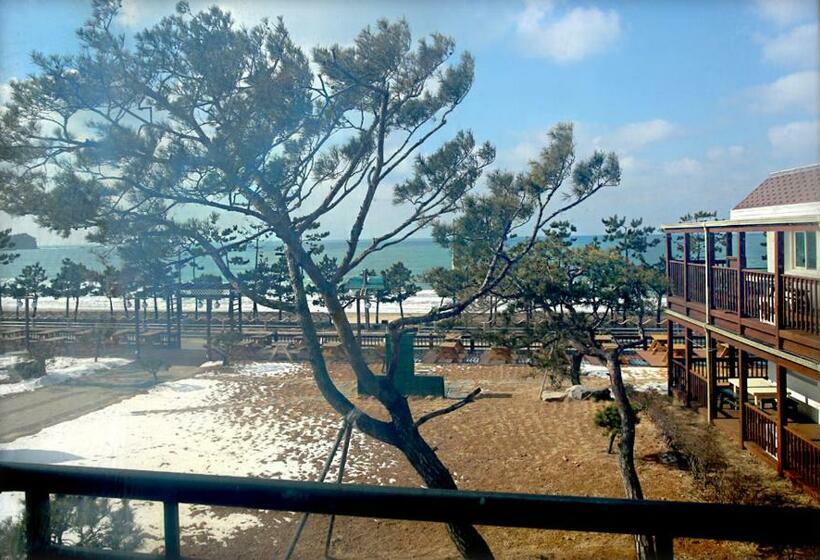 オーシャンビュースタンダードルーム, Mallipo