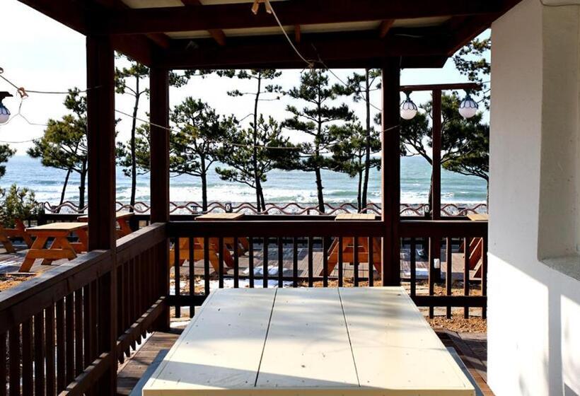 オーシャンビュースタンダードルームバルコニー付き, Mallipo