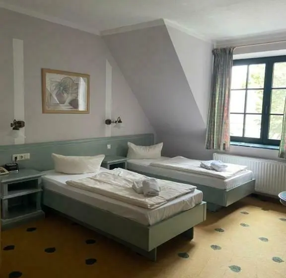 スタンダードルーム, Müritz Landhotel Grüner Baum