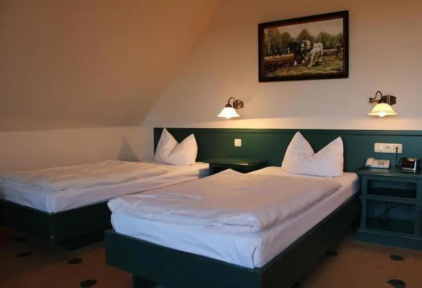 スタンダードルーム, Müritz Landhotel Grüner Baum