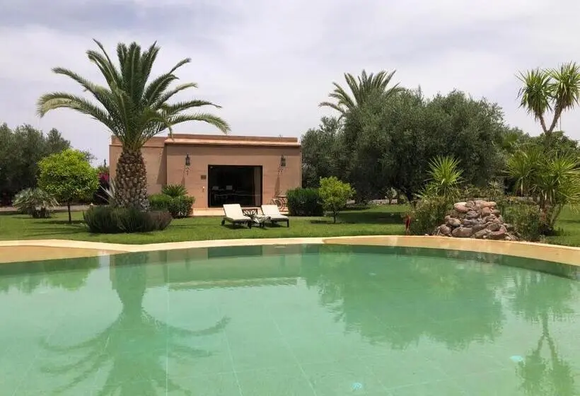スタンダードルーム, Oasis Jena Marrakech